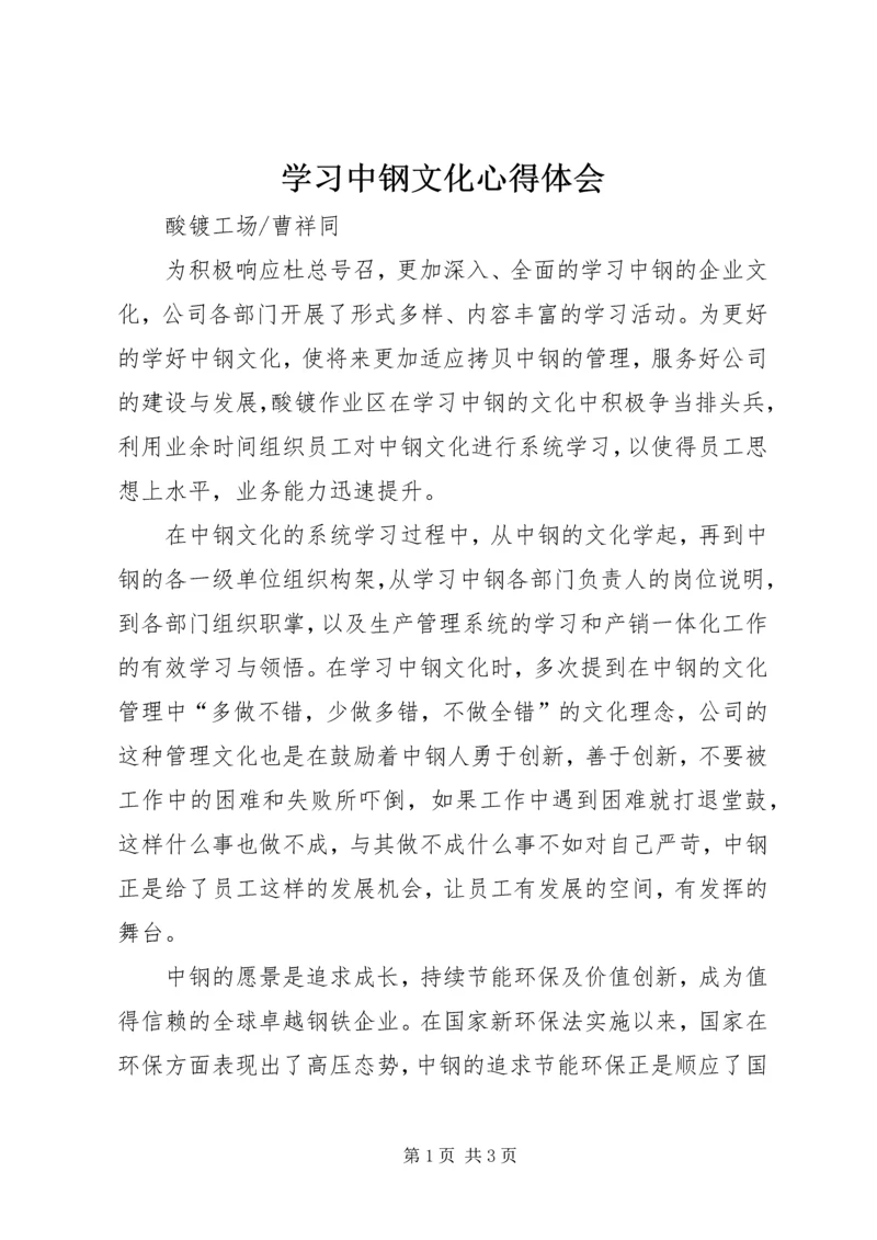 学习中钢文化心得体会.docx