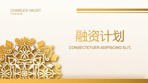 高端霸气创业融资计划书商业计划书PPT模板