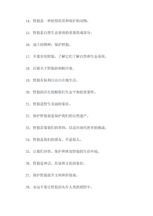 关于野狼的口号