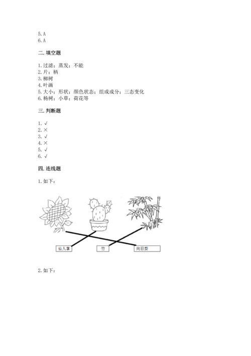 教科版科学一年级上册第一单元《植物》测试卷带答案（突破训练）.docx