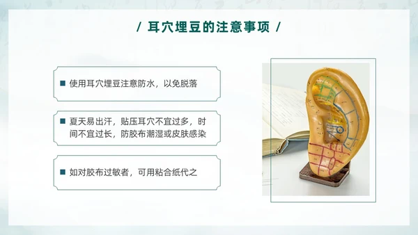 中国风古风水墨中医耳穴埋豆传统理疗操作培训PPT
