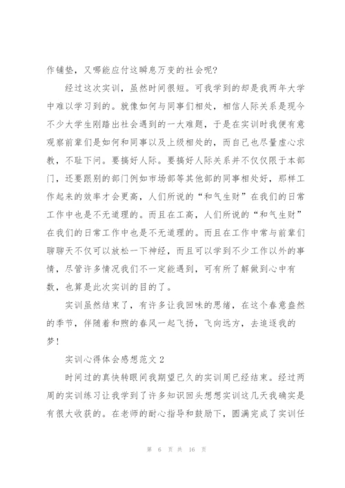 实训心得体会感想范文2021.docx