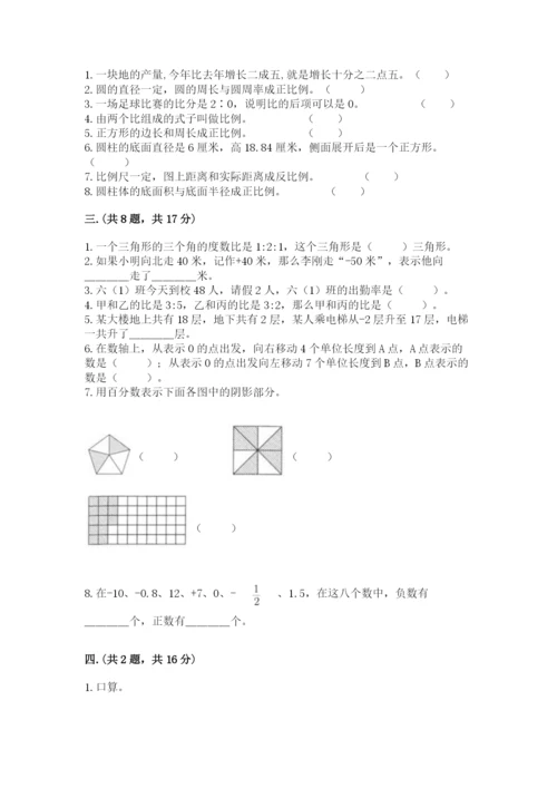 河南省平顶山市六年级下册数学期末考试试卷及完整答案1套.docx