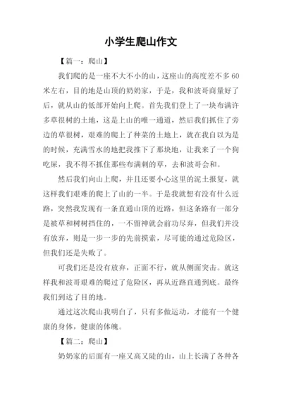小学生爬山作文.docx