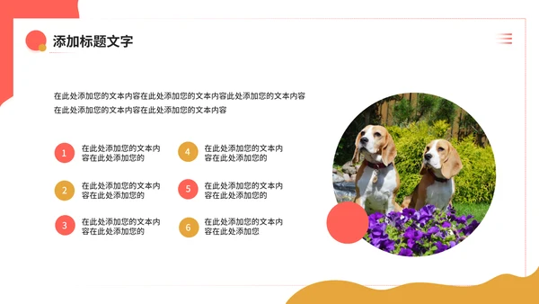宠物健康护理，狗狗通用PPT模板
