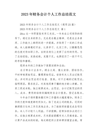 2023年财务会计个人工作总结范文_1.docx
