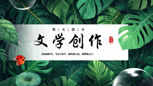 雨水节气通用PPT模板