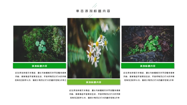 唯美绿色植物发芽植物生长敬畏生命PPT模板