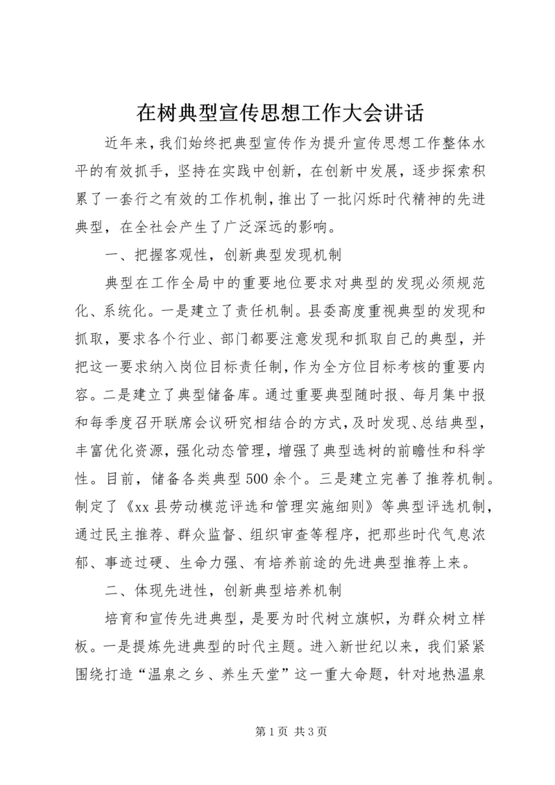 在树典型宣传思想工作大会讲话.docx