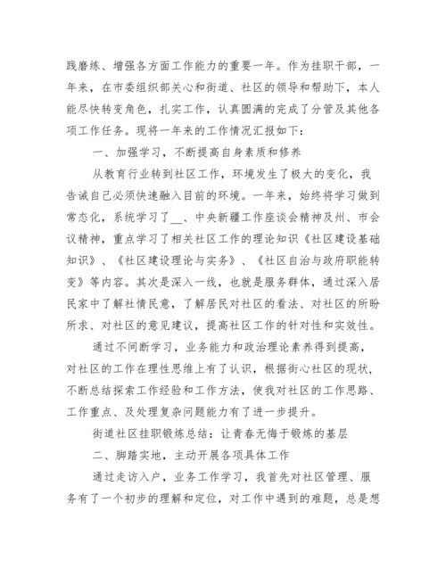 个人挂职锻炼工作总结心得体会.docx