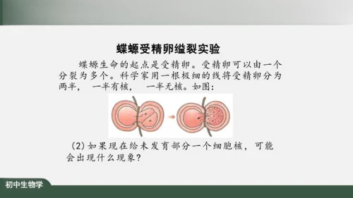 2.1.4  细胞的生活 课件（共26张PPT）