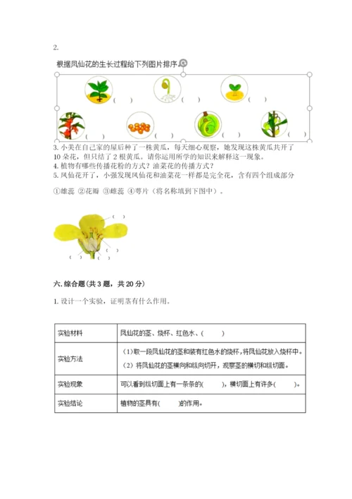 教科版科学四年级下册第一单元《植物的生长变化》测试卷及答案（有一套）.docx