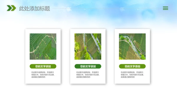 农业新农村种子春耕乡村振兴麦田发芽PPT