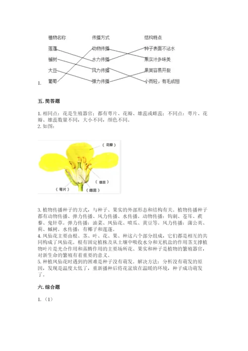 教科版科学四年级下册第一单元《植物的生长变化》测试卷精品【综合题】.docx