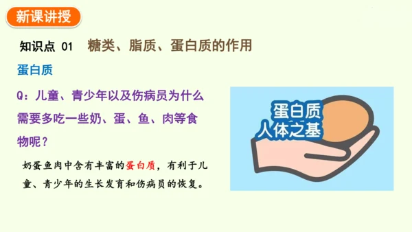 4.2.1食物中的营养物质-七年级生物下学期同步精品课件（2024人教版）(共43张PPT)