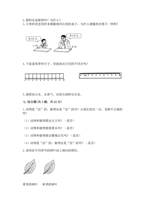 教科版一年级上册科学期末测试卷（能力提升）.docx