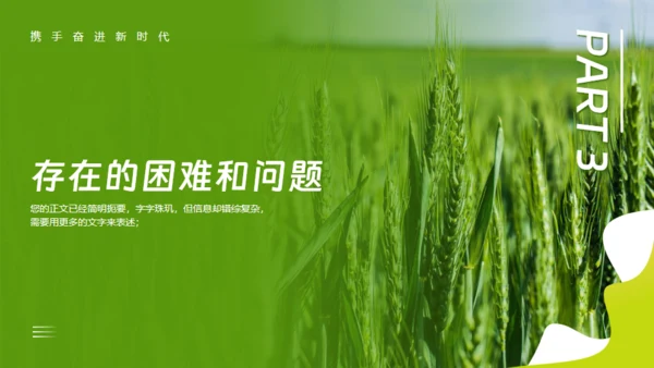 乡村振兴项目工作报告通用PPT模板