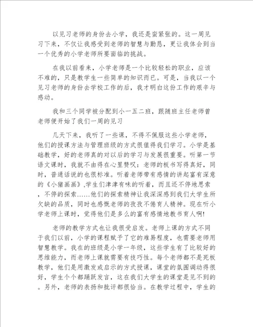 教师见习期个人总结