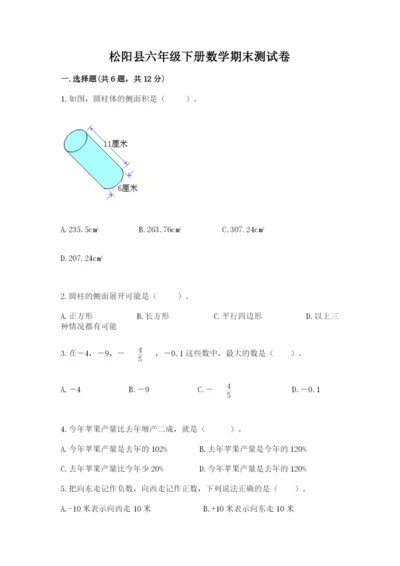 松阳县六年级下册数学期末测试卷有答案.docx