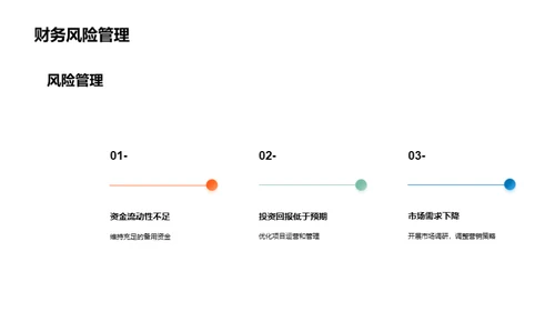 项目投资全景解读