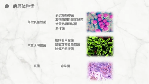 集束化干预在静脉导管相关血流感染的应用PPT模板