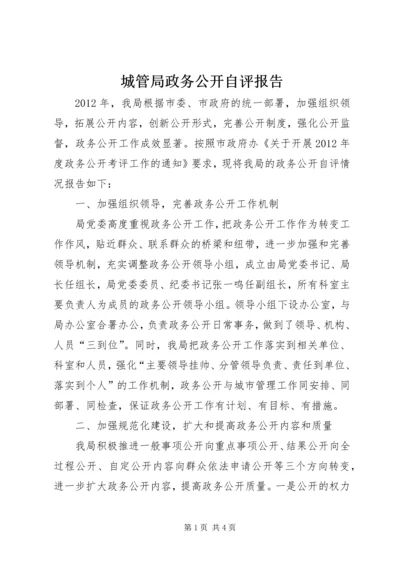 城管局政务公开自评报告.docx