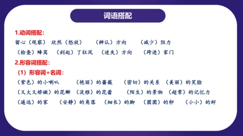 统编版三年级语文下学期期中核心考点集训第四单元（复习课件）