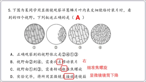 1.1&1.2 认识生物和细胞（复习课件）【2024人教新版七上生物高效完全备课】(共44张PPT)