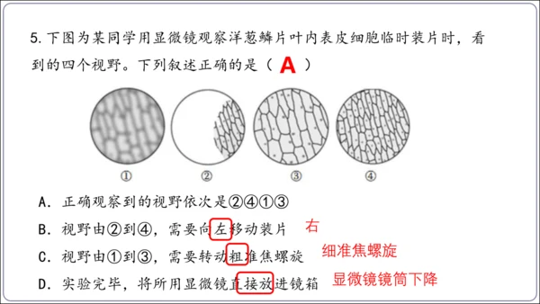 1.1&1.2 认识生物和细胞（复习课件）【2024人教新版七上生物高效完全备课】(共44张PPT)