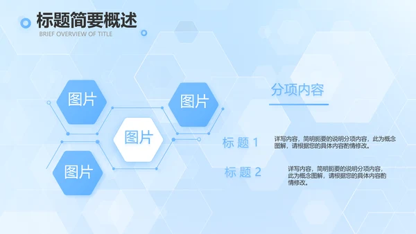 蓝色大气生物医药科技公司简介PPT