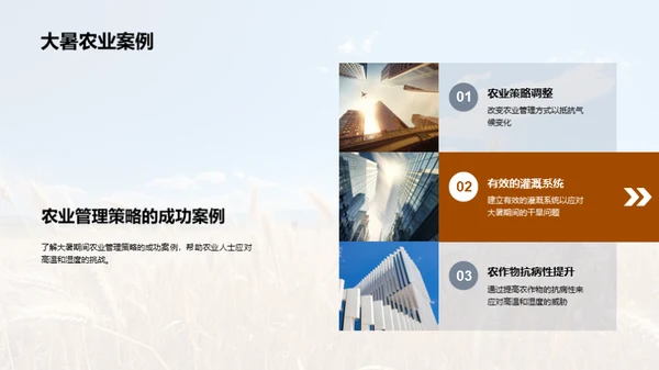 大暑农业应对策略