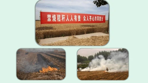 10.《我们所了解的环境污染》（第二课时）  课件