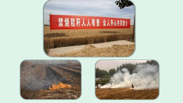 10.《我们所了解的环境污染》（第二课时）  课件