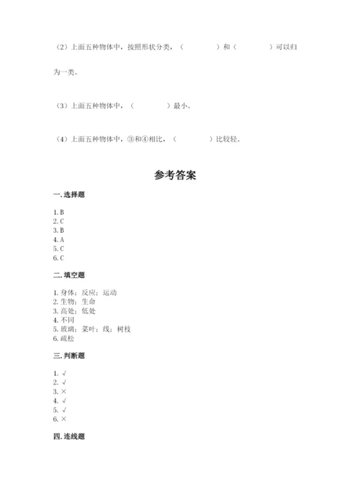 教科版小学科学一年级下册期末测试卷附答案【培优b卷】.docx