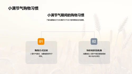 小满营销策略解析