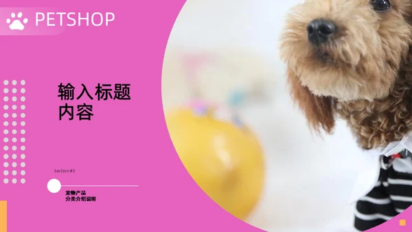 宠物店宠物品牌宣传通用PPT模板