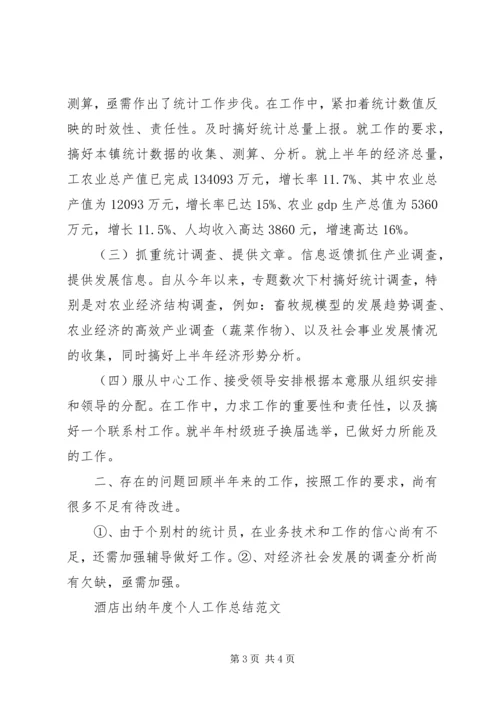 乡镇统计年度个人工作总结范文.docx