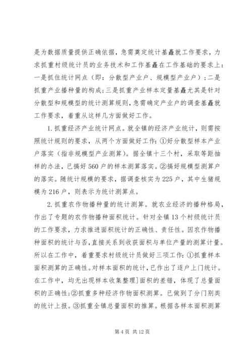 乡镇统计自检自查报告.docx