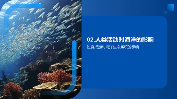 海洋生态系统的保护与可持续发展