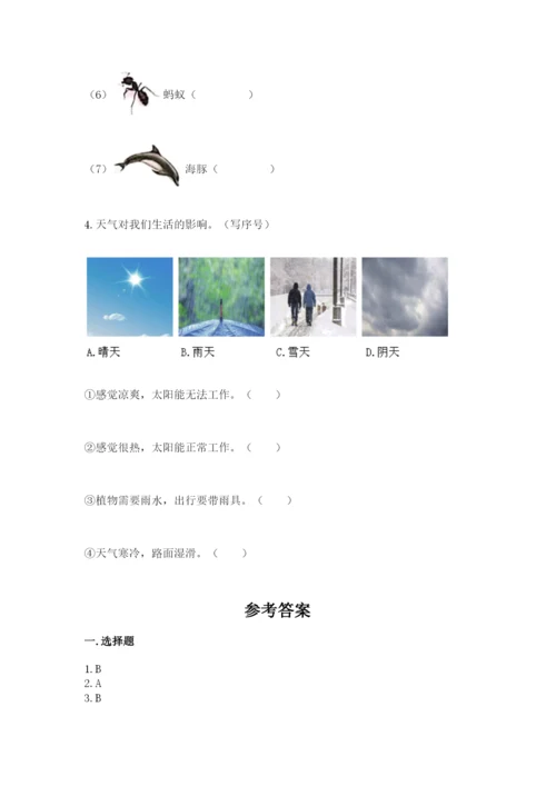 教科版科学二年级上册期末测试卷及参考答案（典型题）.docx