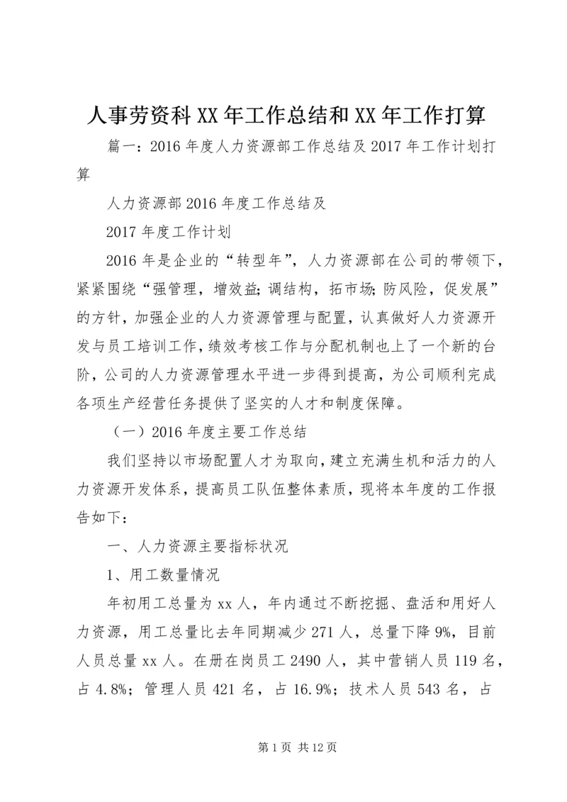 人事劳资科某年工作总结和某年工作打算.docx