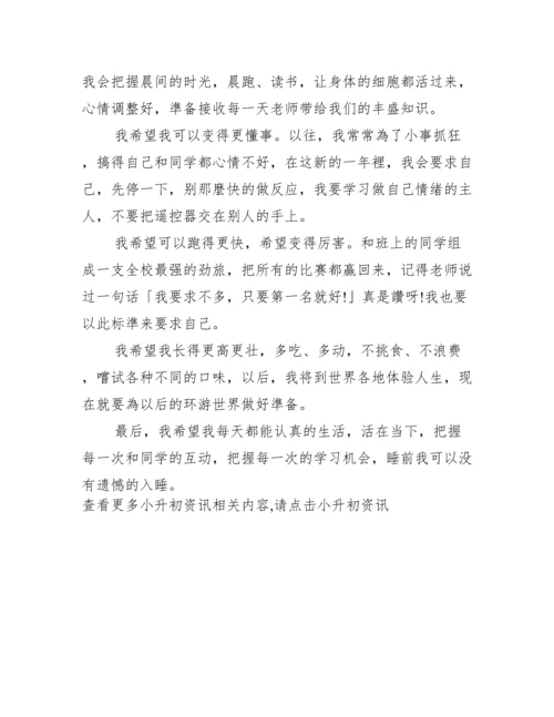 历年小升初优秀作文【5篇】.docx