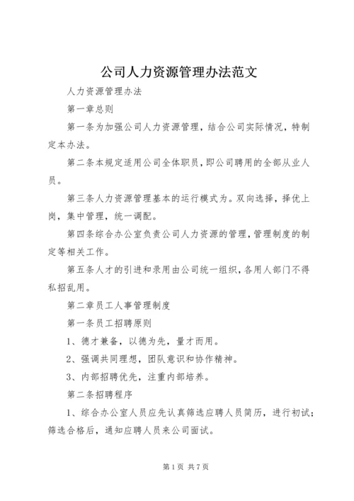 公司人力资源管理办法范文 (2).docx