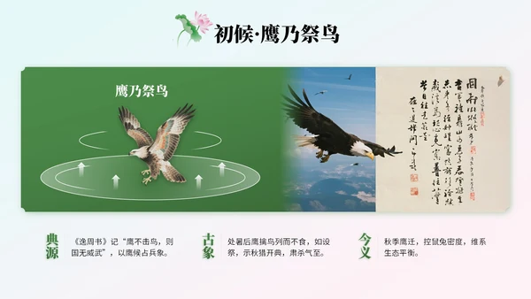绿色中国风处暑节气知识讲座