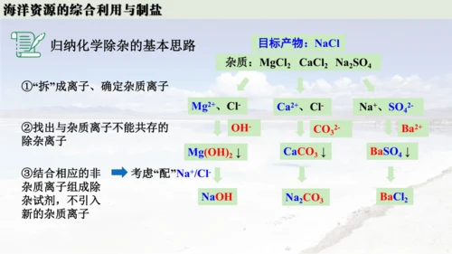 跨学科实践活动8  海洋资源的综合利用与制盐课件(共39张PPT内嵌视频)