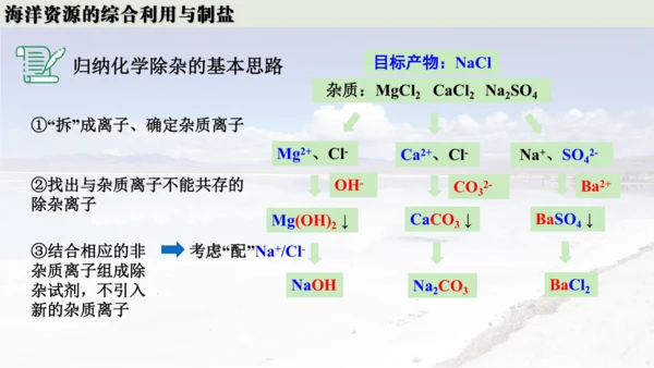 跨学科实践活动8  海洋资源的综合利用与制盐课件(共39张PPT内嵌视频)