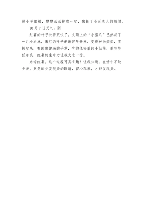 最新观察日记四年级上册第三单元作文 观察日记四年级上册第三单元(四篇).docx