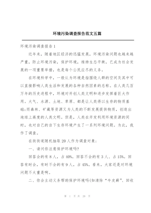 环境污染调查报告范文五篇.docx