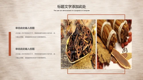 传统中医学中医院中医文化中草药PPT模板
