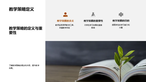 教学策略解析